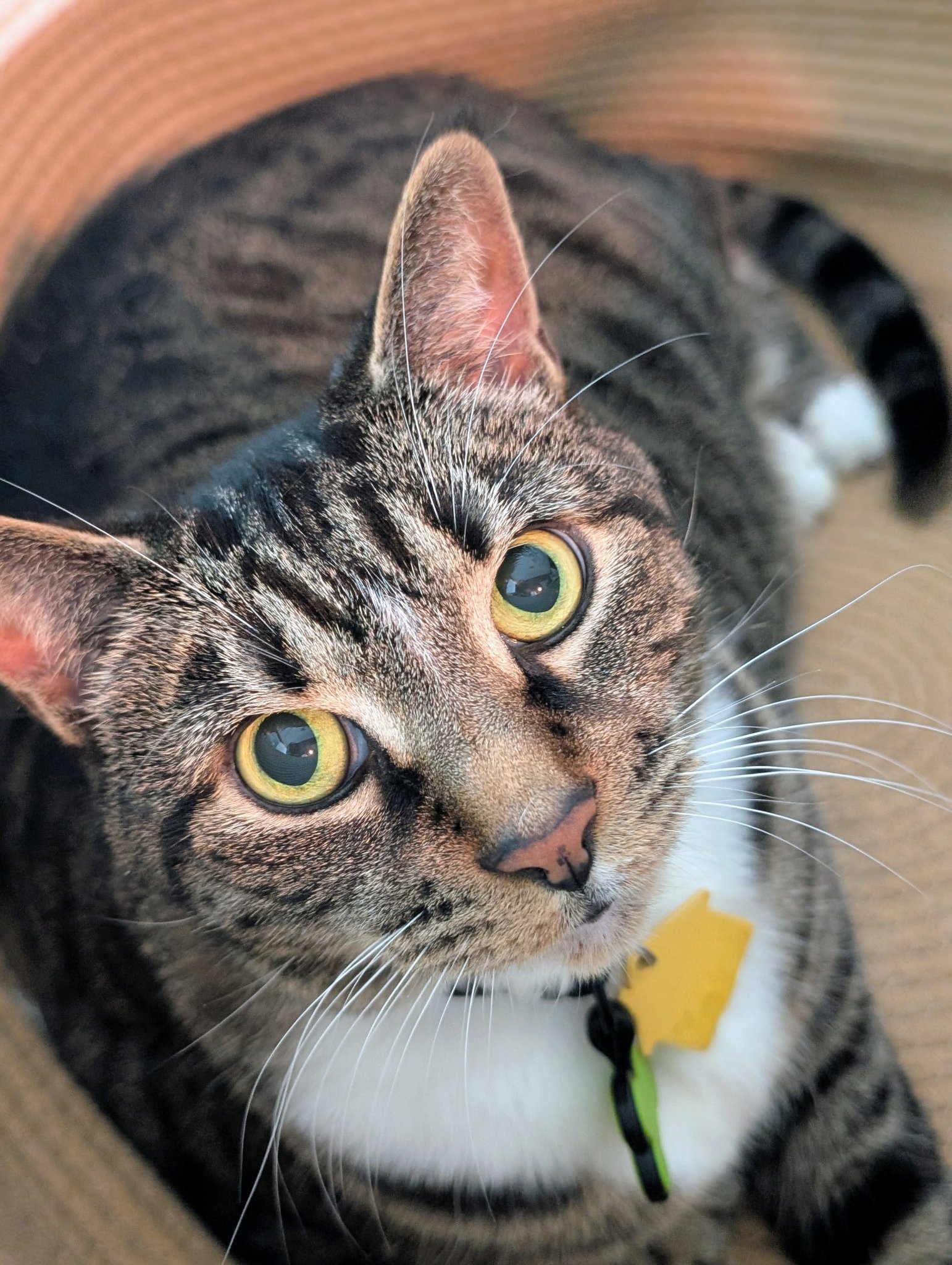 14 years old, I can't believe it 😭😭