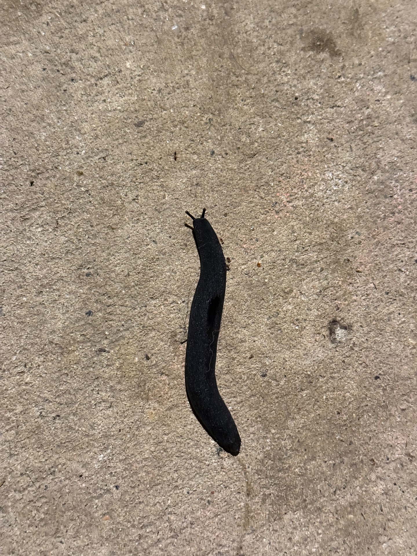 Photo: Today’s Critters