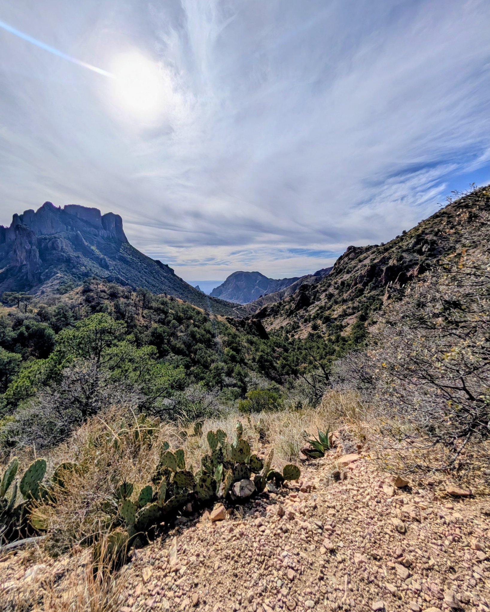 Lost Mine Trail