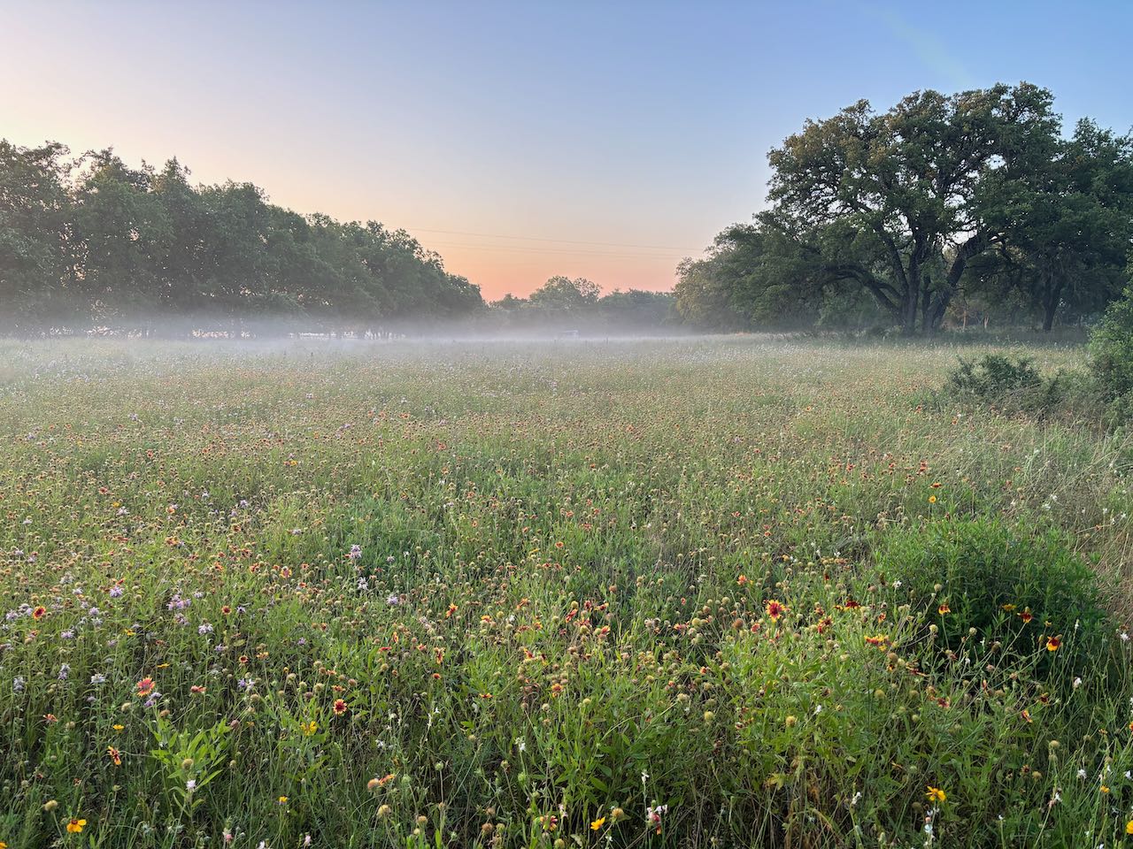 Birding at Dowell Ranch (FULL)