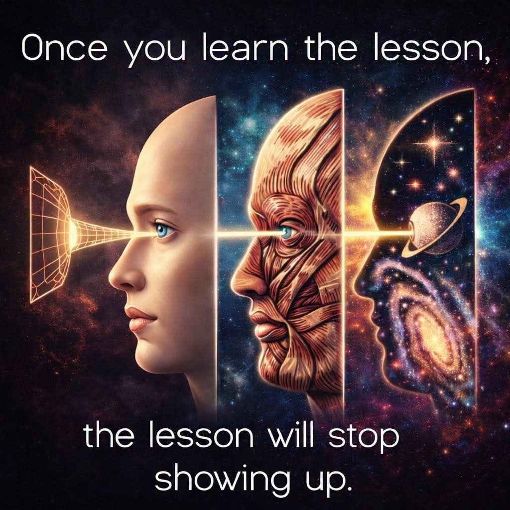 https://blossom.ditto.pub/52581b99ea80fd1ef47b80931fc73bc9f0c87752b4d1e7dcf7eb400427e58d14.png