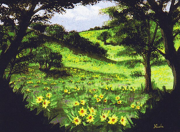 Cover image for Communities, Flowers in Bloom