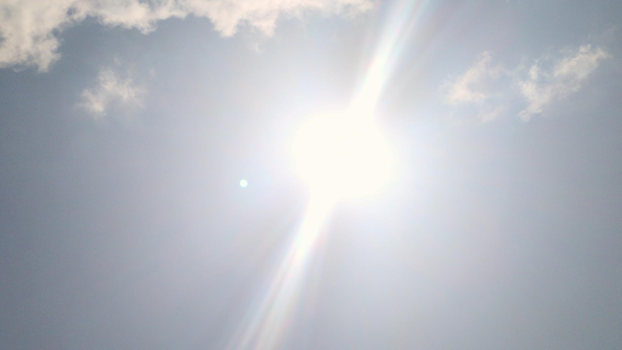 signal-2026-08-15-14-31-49-447.jpg