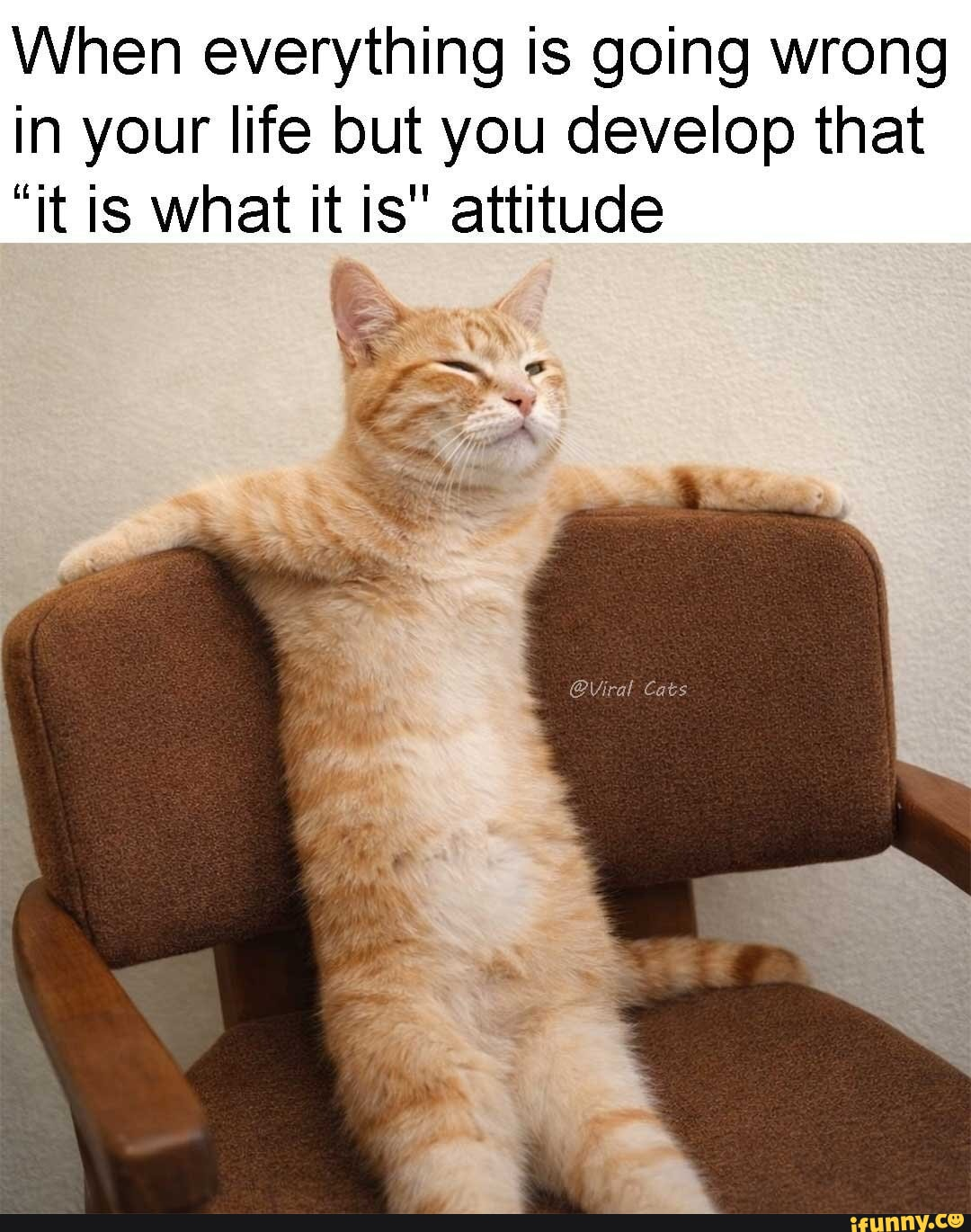 https://blossom.ditto.pub/dd946925815183086c21f955e0a5aa83f66f164353de89ac626dbc6fbd06bdeb.png